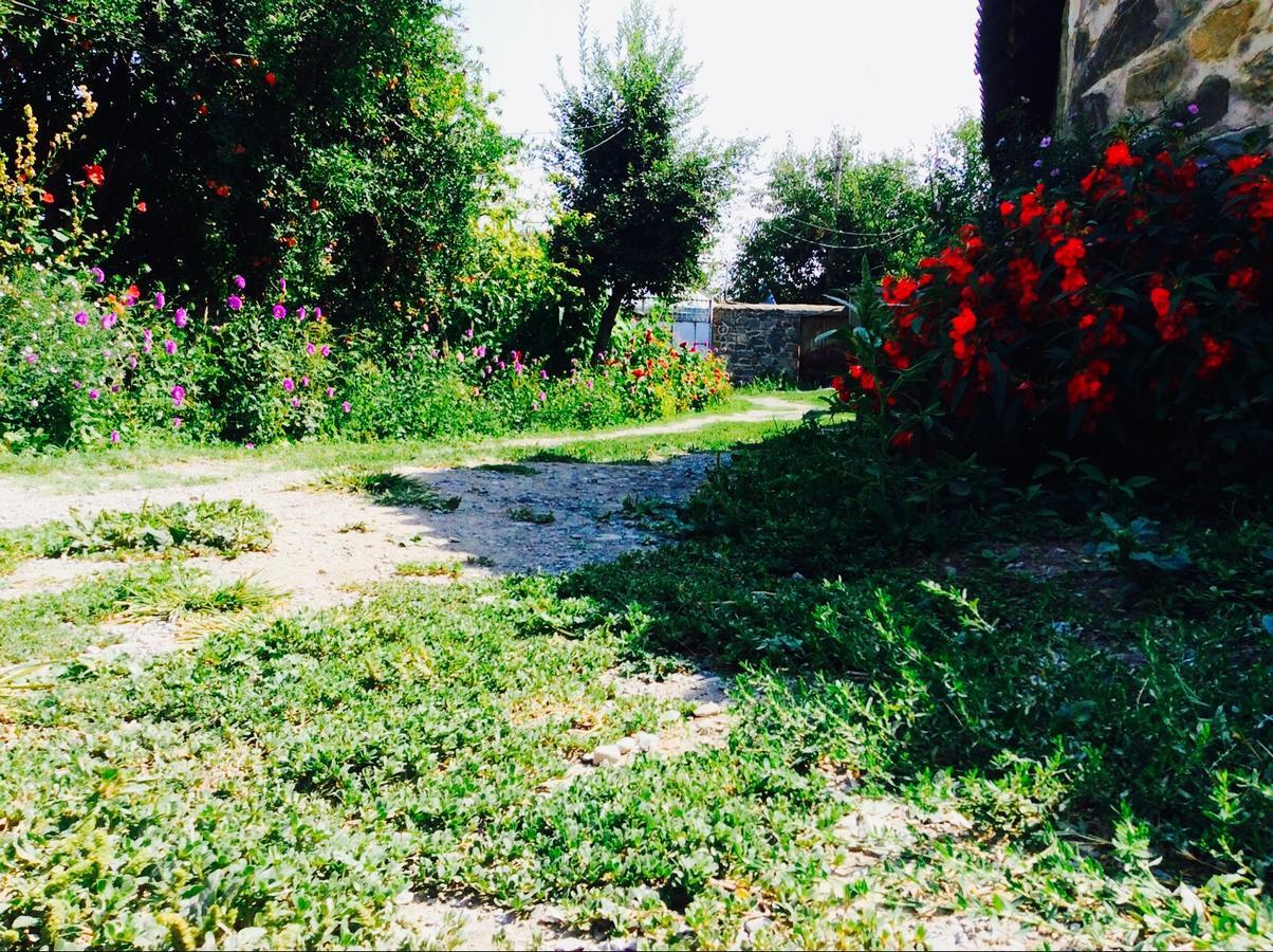 House On Ashiq Cuma Street 8 Panzió Şǝki Kültér fotó