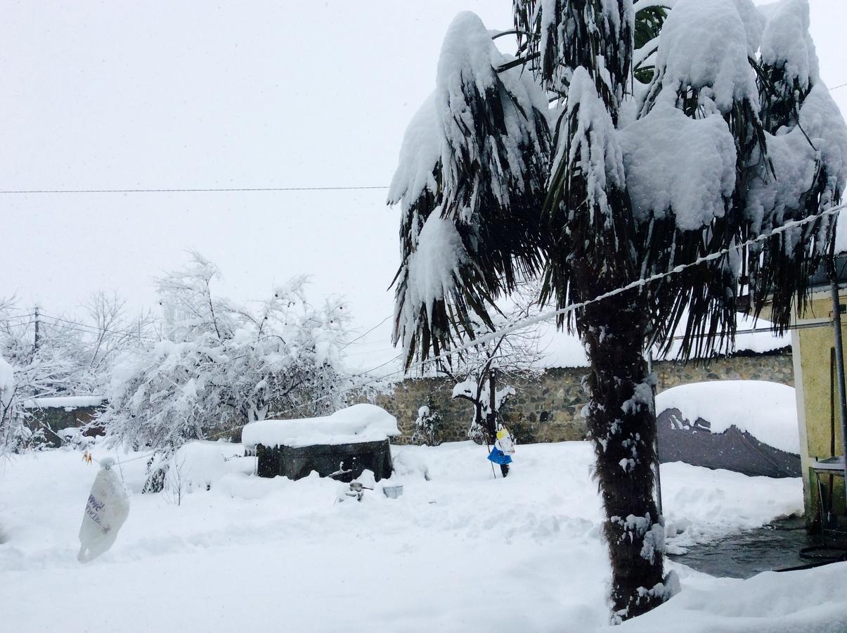 House On Ashiq Cuma Street 8 Panzió Şǝki Kültér fotó