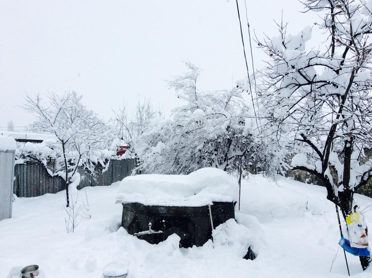 House On Ashiq Cuma Street 8 Panzió Şǝki Kültér fotó